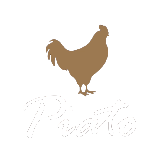 Piato logo with surprise